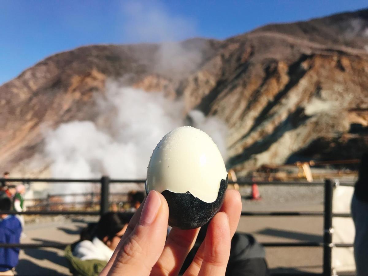 Merveille Hakone Gora Esterno foto